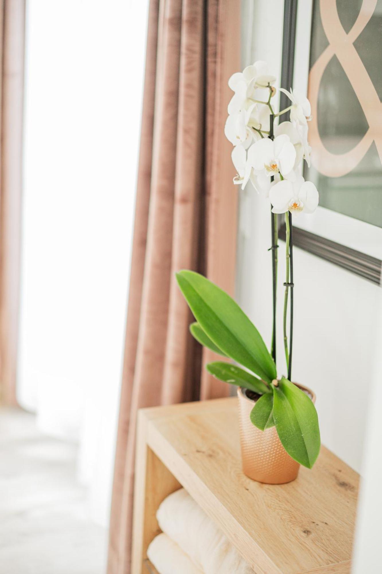 City Lodge Vienna Appartement *